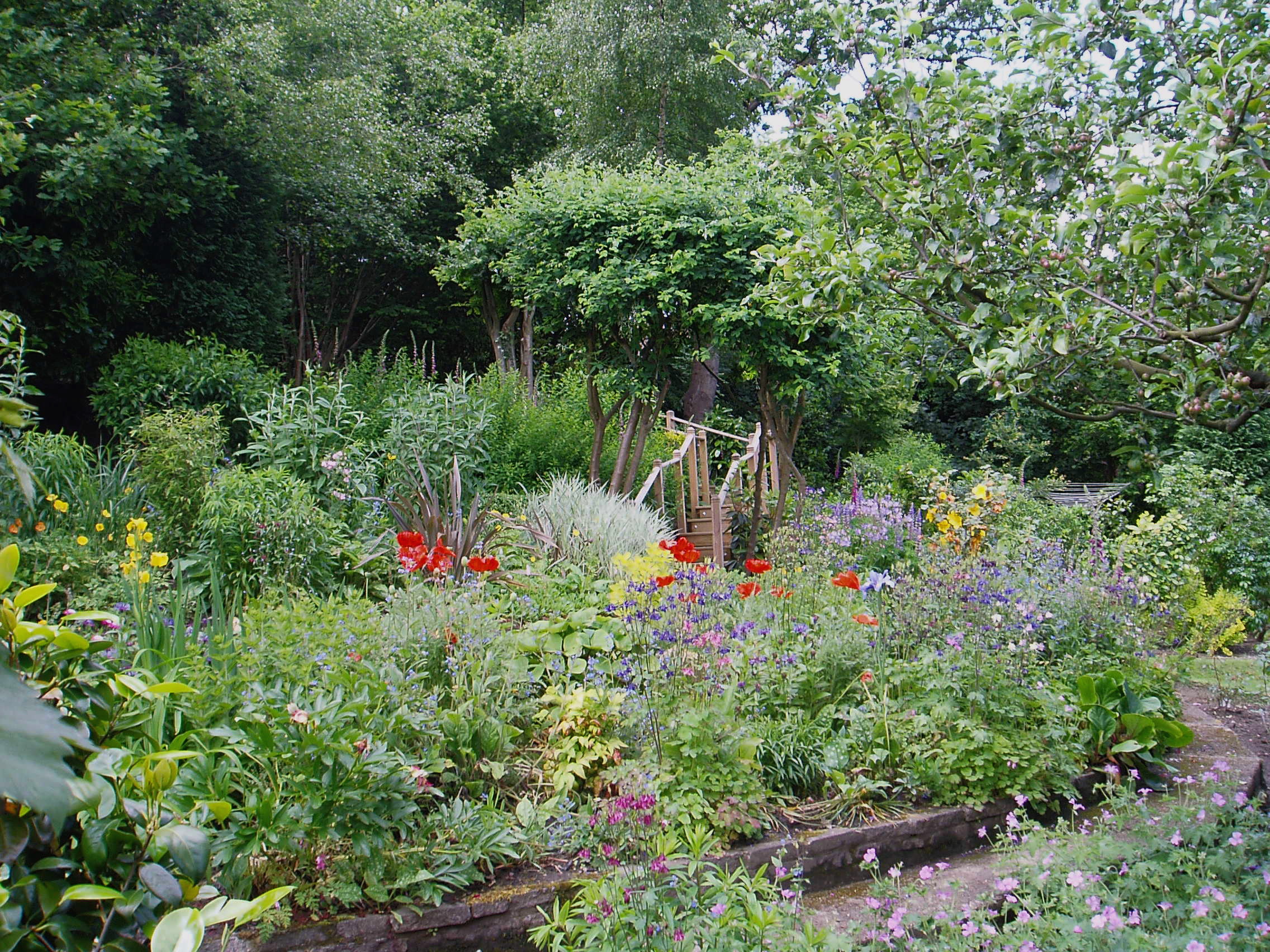 Revival of neglected cottage garden
