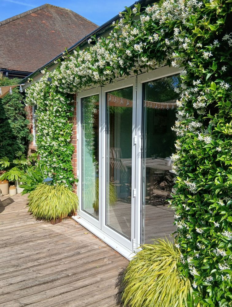 Open the doors and be engulfed by a heady fragrance